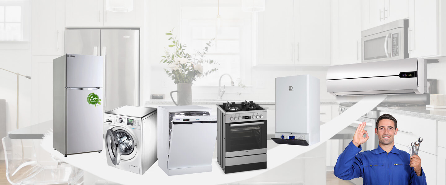 Bulanık Warmhaus Servisi